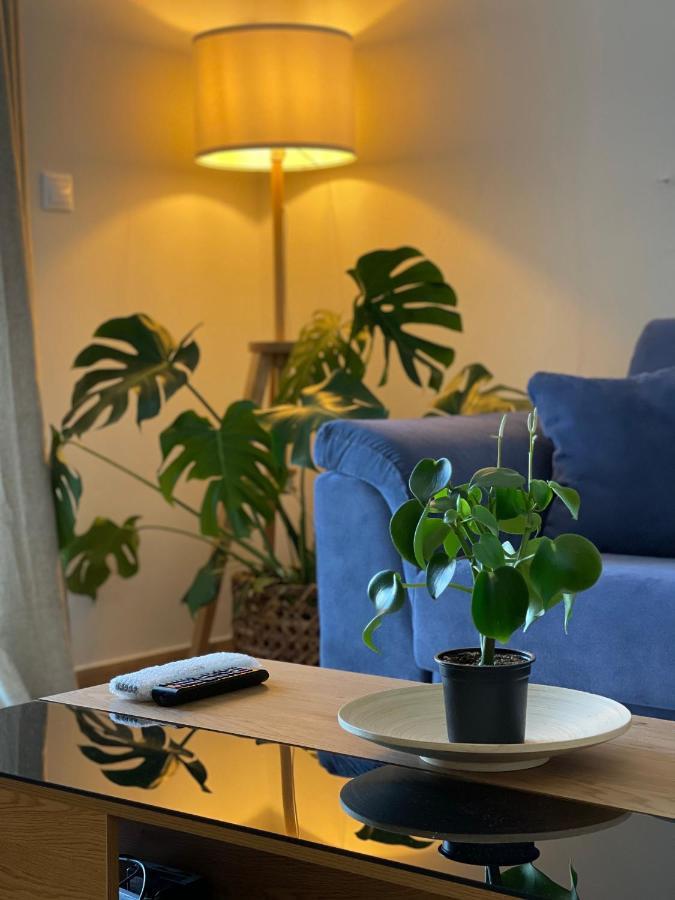 Cosy Apartment With Sea View Close To The Beach Никиана Екстериор снимка